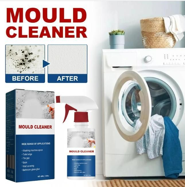 Deodorizing & Purifying Household Cleaning Foam Spray 60ml - BizBazar