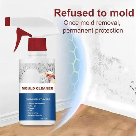 Deodorizing & Purifying Household Cleaning Foam Spray 60ml - BizBazar